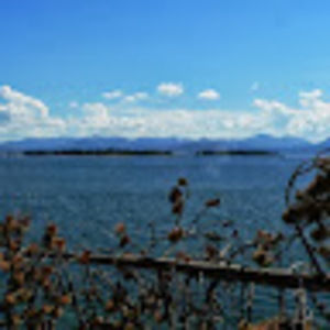 Meet your Posher, Bowman